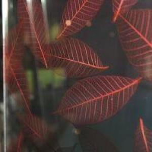 Referenzen - Metall und Glas